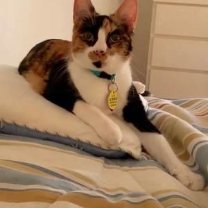 Meet your Posher, Cindy